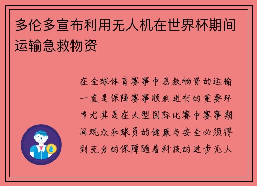 多伦多宣布利用无人机在世界杯期间运输急救物资